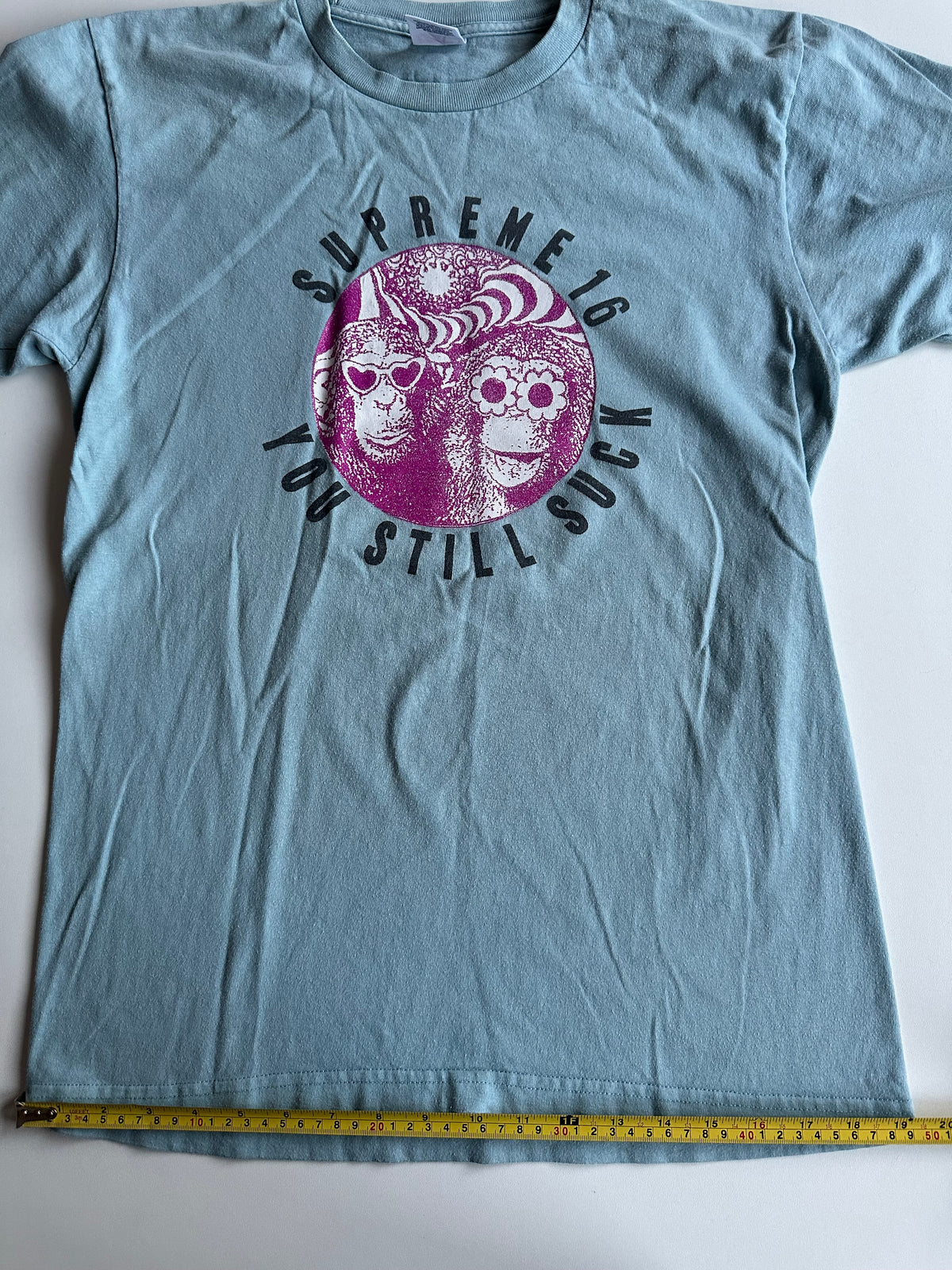 Supreme You Still Suck Tee Light Blue – SS16