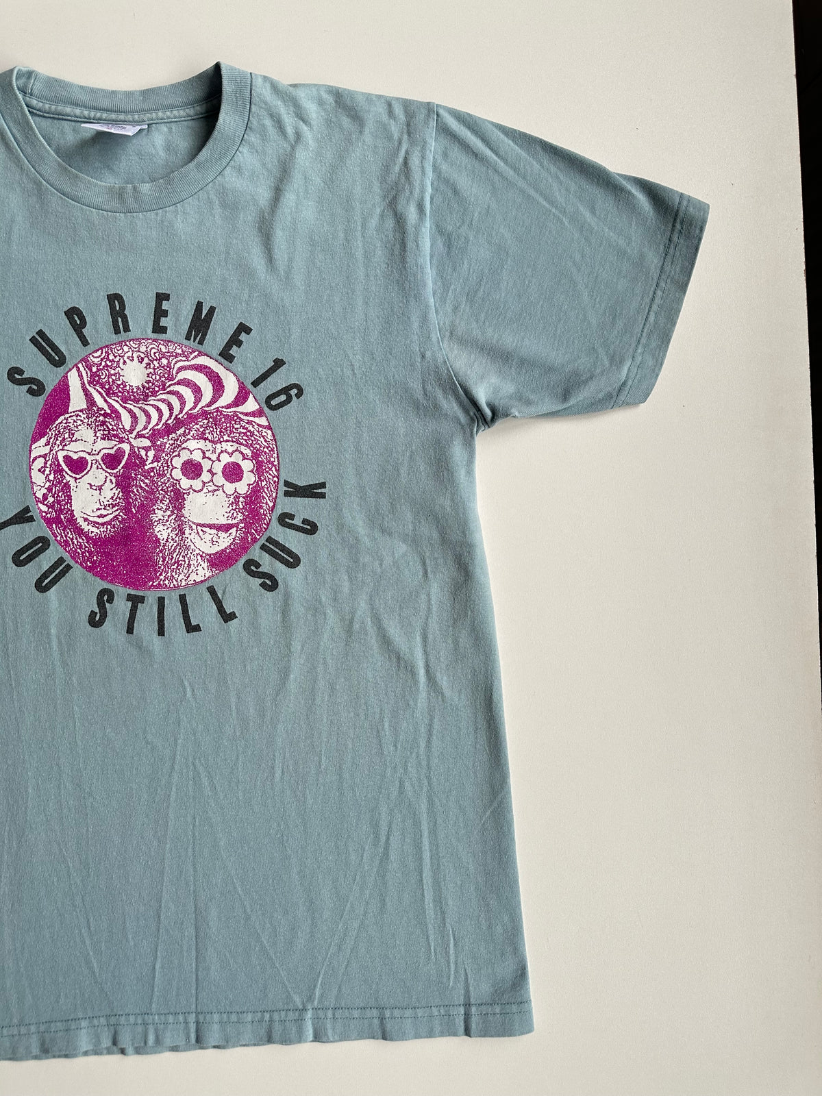 Supreme You Still Suck Tee Light Blue – SS16