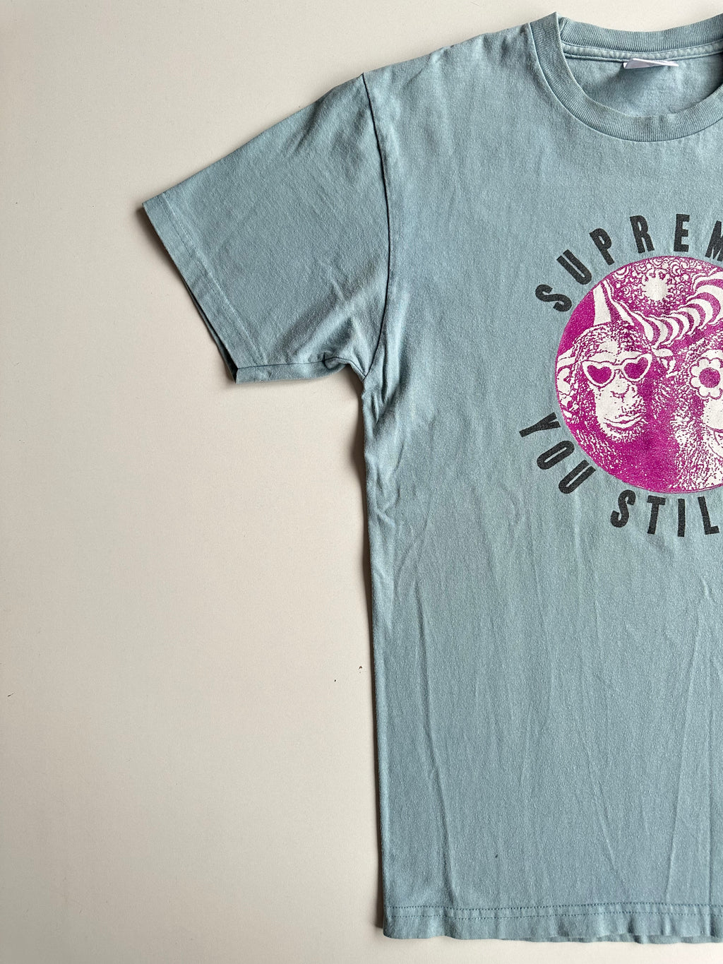 Supreme You Still Suck Tee Light Blue – SS16